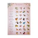 PMP.27002 STICKER.webp