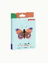 Delias-Butterfly-packaging.webp