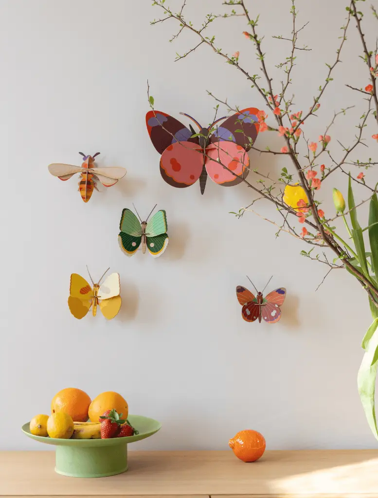 easter2024bellissima-fern-strip-website-overview-1724160074.webp
