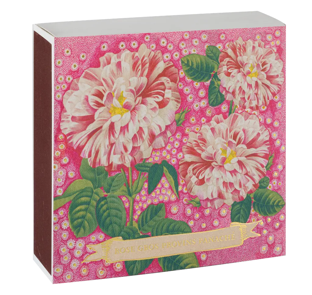 B378_2.webp