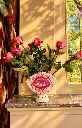 24kr10.webp