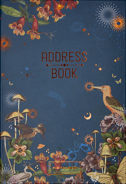 Pimpelmees adresboek - blue 