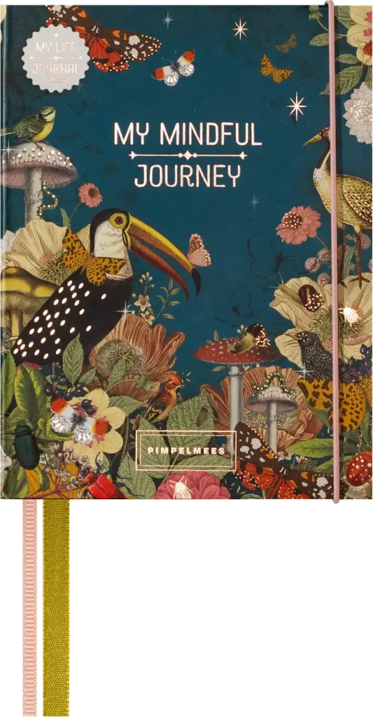 Pimpelmees mindfullness journey boek - sky 