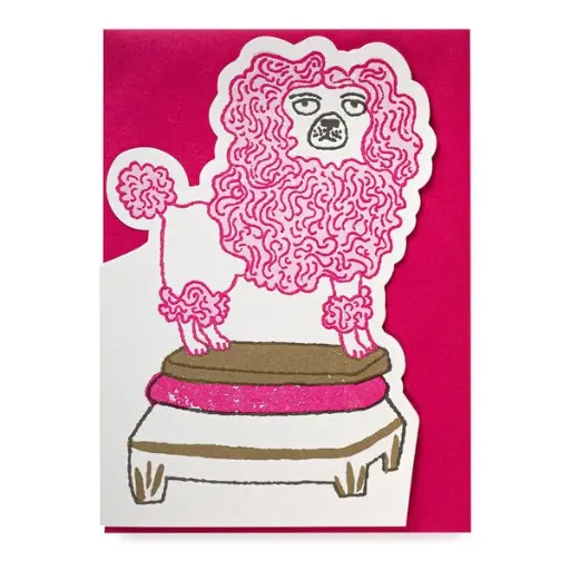 [CO101] Poodle