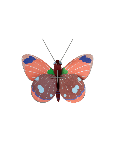 [IMA74] Studio Roof Delias butterfly