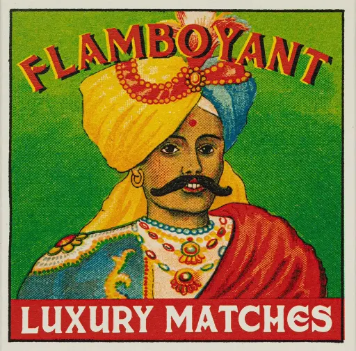 [B128] Mr Flamboyant Matches
